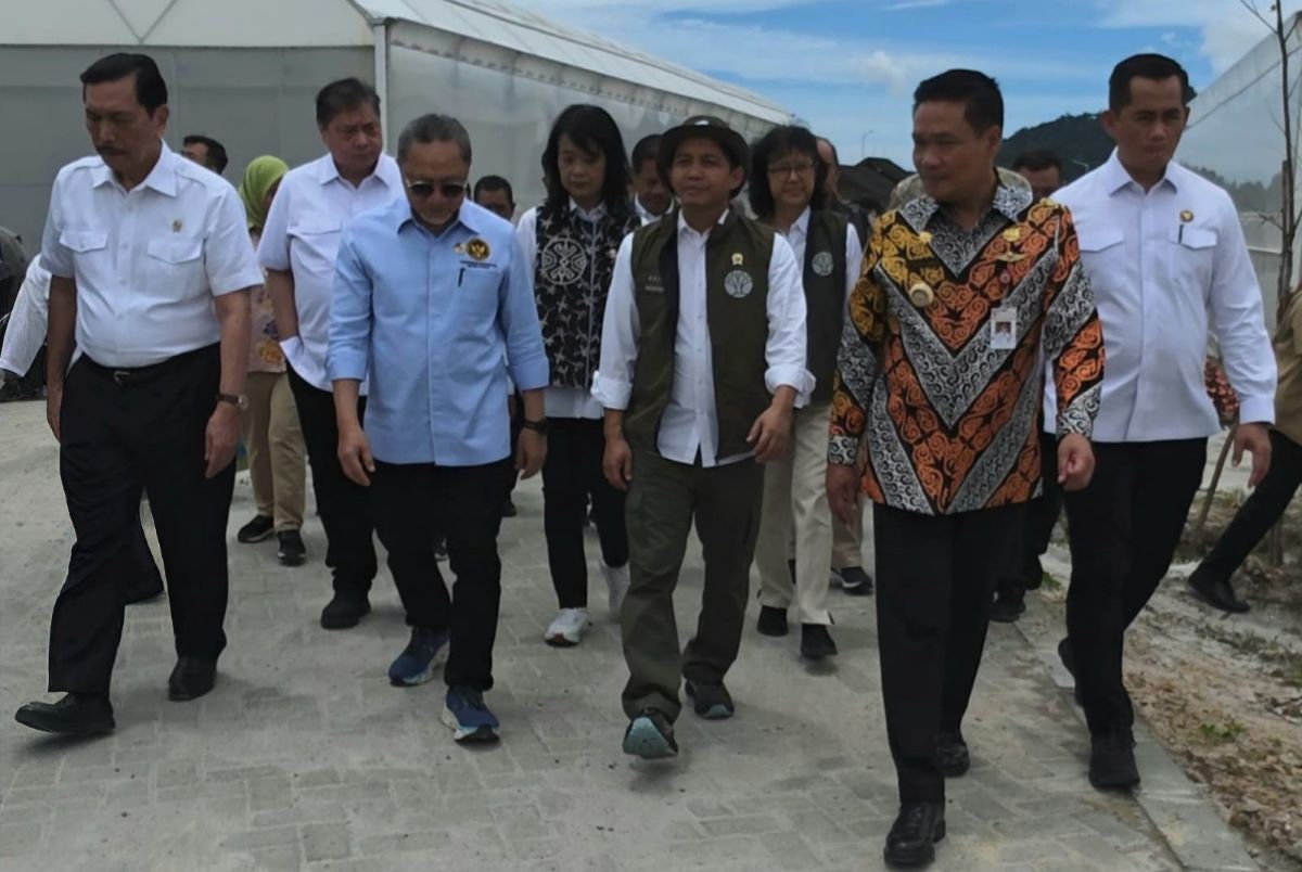 Ketua Dewan Ekonomi Nasional (DEN) Luhut Binsar Panjaitan (kiri) bersama Menhut Raja Juli Antoni (tengah) membahas potensi tanaman obat di Indonesia. (Humas Kemenhut) - Image