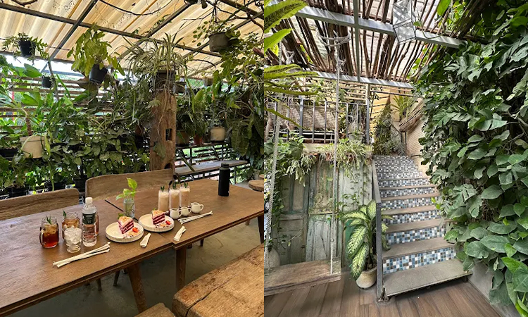Rekomendasi Cafe Tema Alam dan Hutan yang Adem di Solo, Pas Bagi yang Mau Nongkrong Santai dan Tenang (Google Maps/Tunjung “tijecutezz”) - Image