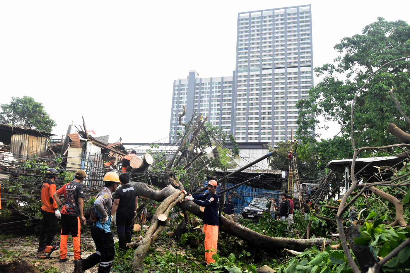 Petugas memotong batang pohon tumbang yang menutupi Jalan Jombang Raya, Pondok Aren, Tangerang Selat