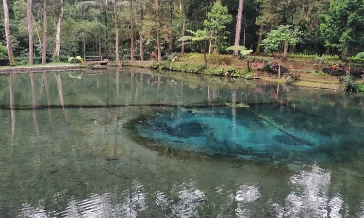 Ilustrasi destinasi wisata Blitar (Foto Google Maps) - Image