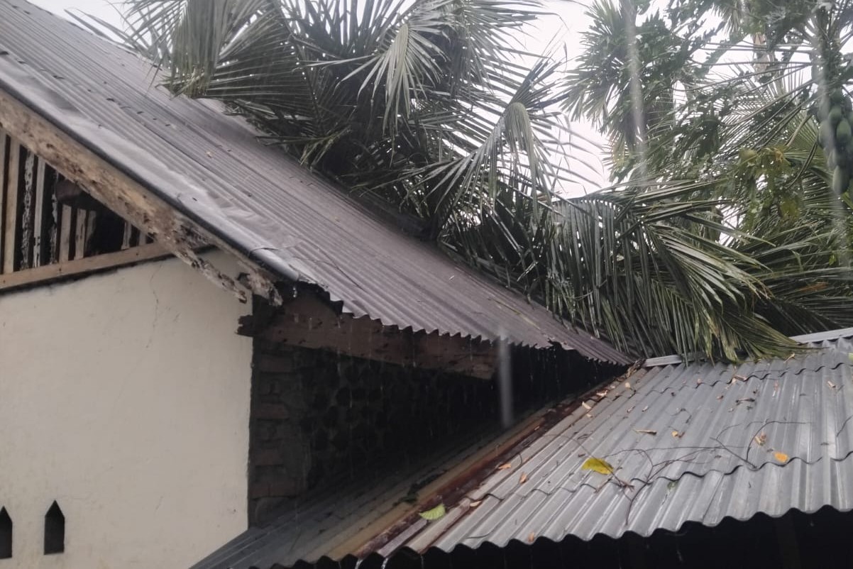 Rumah warga terdampak pohon tumbang akibat angin kencang di Padang Pariaman, Sumbar. (BNPB) - Image
