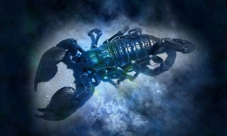 Horoskop Scorpio besok Minggu, 8 Februari 2026 (freepik) - Image