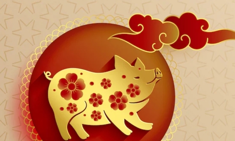 Ilustrasi shio Babi (freepik) - Image