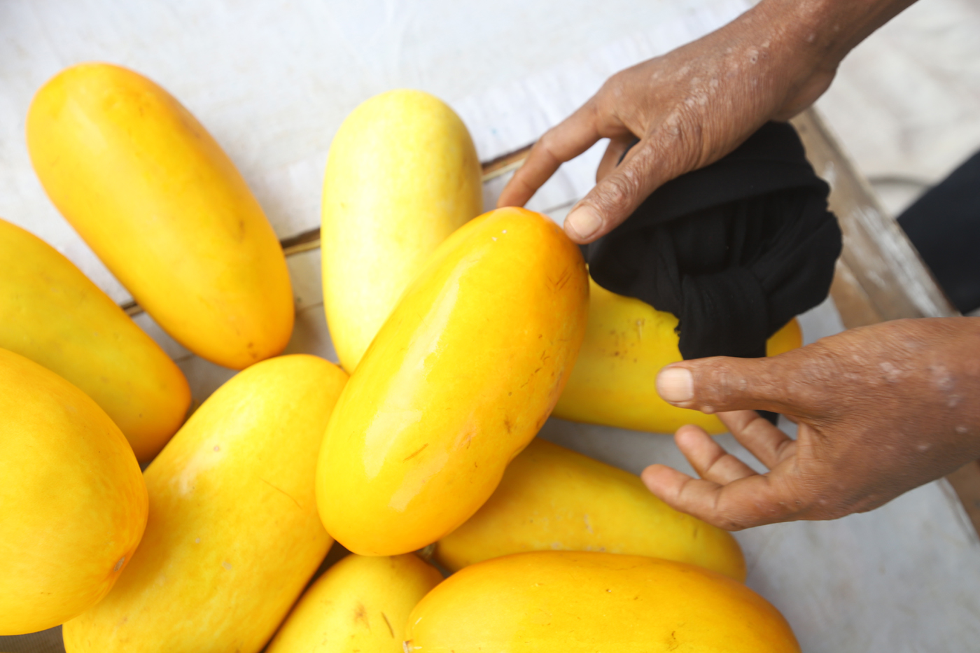 Pedagang musiman timun suri mulai bermunculan di sejumlah titik di Jakarta. (Dery Ridwansah/ JawaPos