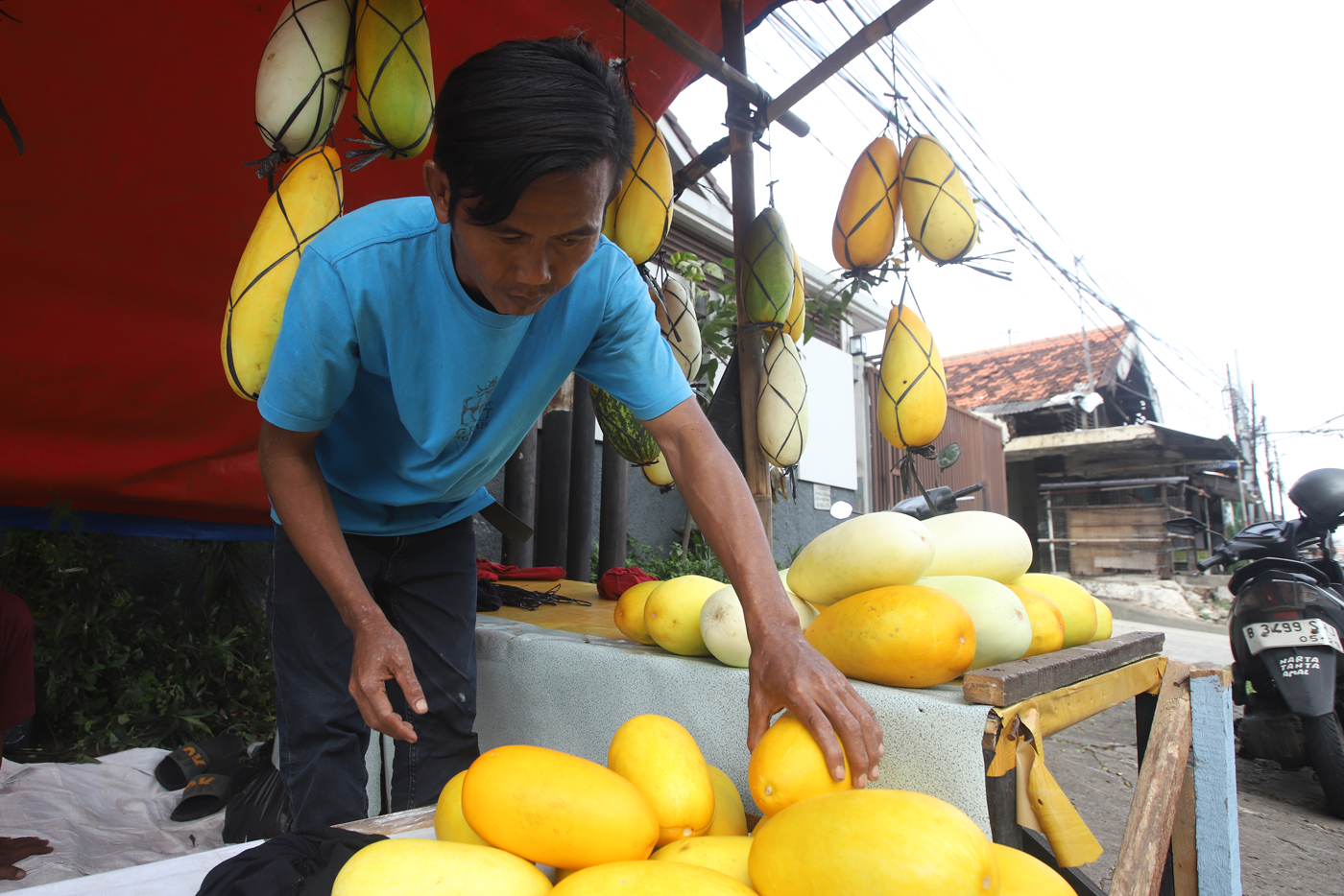 Pedagang musiman timun suri mulai bermunculan di sejumlah titik di Jakarta. (Dery Ridwansah/ JawaPos