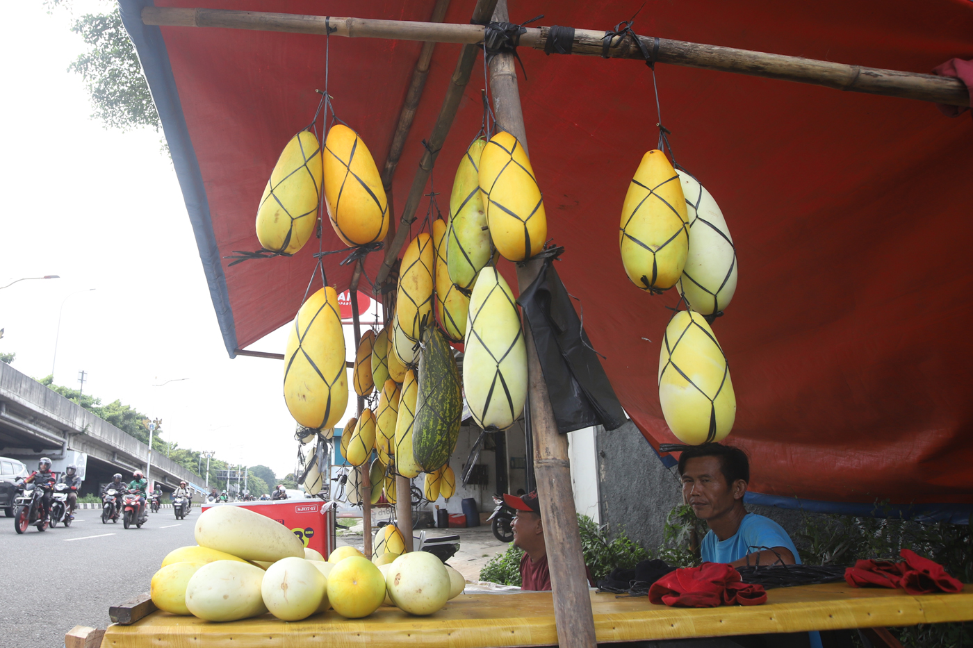 Pedagang musiman timun suri mulai bermunculan di sejumlah titik di Jakarta. (Dery Ridwansah/ JawaPos