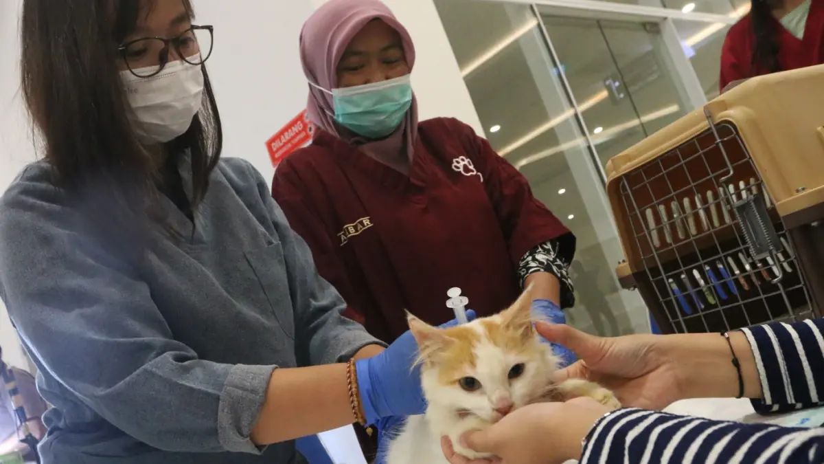 Petugas memeriksa kondisi kesehatan hewan peliharaan milik warga saat layanan sistem jemput bola vaksin rabies dalam acara Hobbies Fest Ramadhan di Universitas Diponegoro, Semarang, Jawa Tengah,Kamis (5/3/2026). (Nur Chamim/Jawa Pos Radar Semarang)