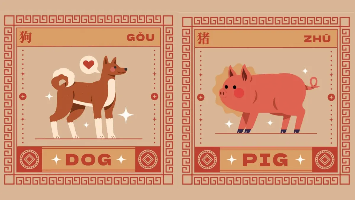 Ramalan hoki shio Anjing dan Babi Selasa 17 Maret 2026 (Freepik) - Image