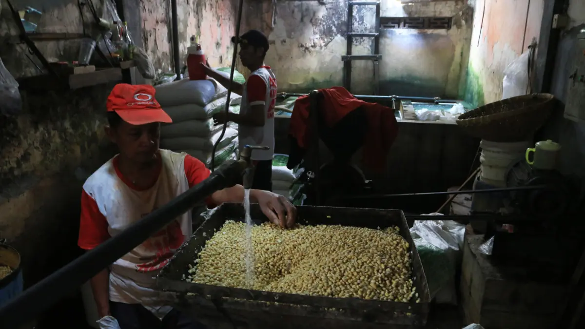 Aktivitas produksi tetap berjalan di pabrik tahu di Jalan Saputan, Kelurahan Jomblang, Kecamatan Candisari, Kota Semarang (8/4/2026). (Nur Chamim/Jawa Pos Radar Semarang)