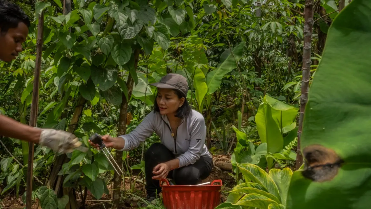  Inovasi Peneliti Indonesia Dilirik Global: AI Bantu Petani Pahami Tanah hingga Tingkat Mikroba - Image