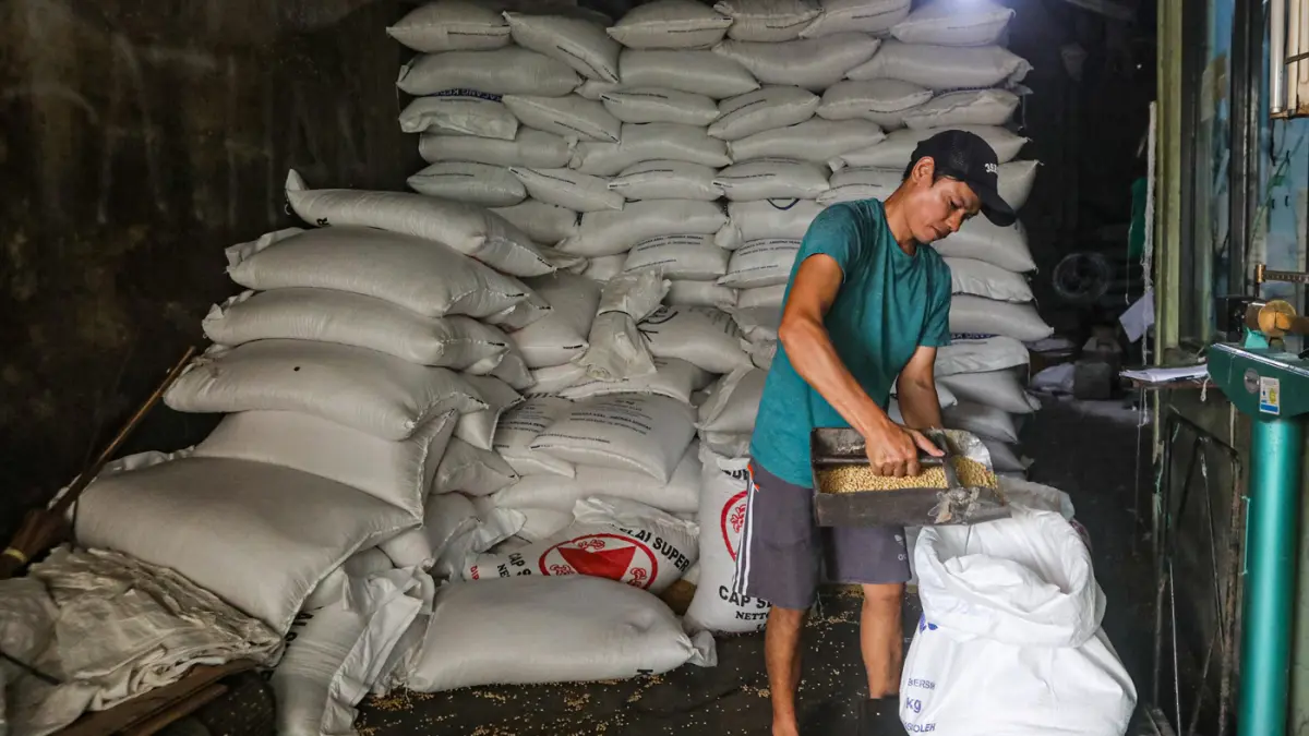 Pekerja menata kedelai impor di salah satu gudang di Jakarta, Kamis (16/4/2026). (Salman Toyibi/Jawa Pos)