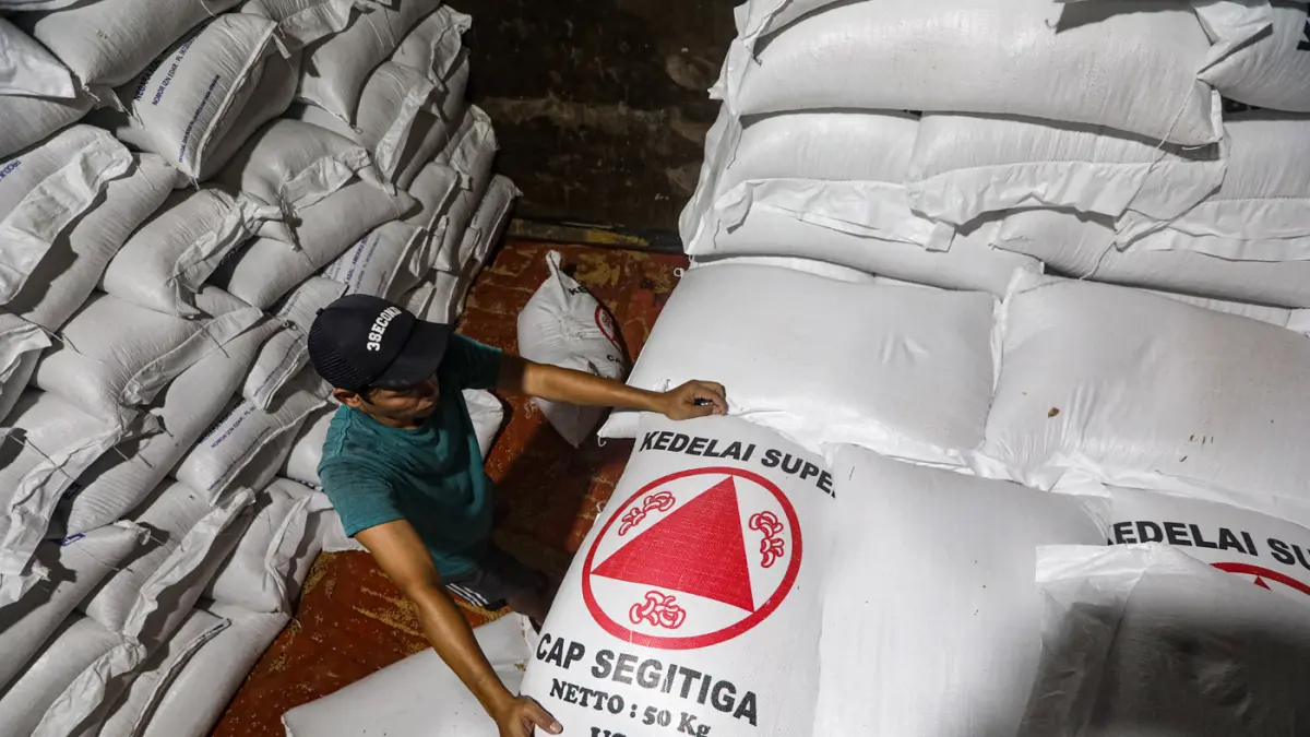 Pekerja menata kedelai impor di salah satu gudang di Jakarta, Kamis (16/4/2026). (Salman Toyibi/Jawa Pos)
