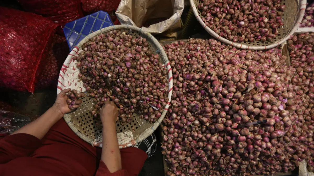 Harga Bawang Merah Cendrung Tinggi  - Image
