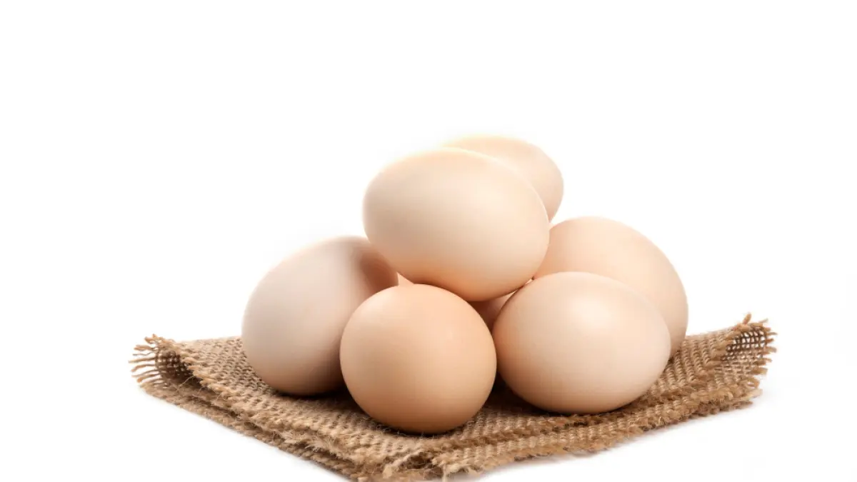 10 Makanan Plant-Based Tinggi Protein sebagai Pengganti Daging untuk Diet Non-Vegan