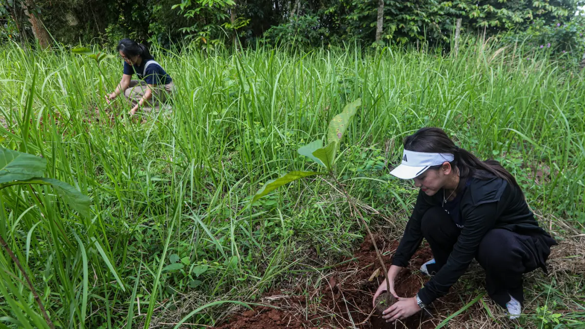 Peserta menanam bibit pohon dalam rangka memperingati Hari Bumi bertajuk Zero Carbon di Hutan Kota Eduforest Bekasi, Jawa Barat, Rabu (22/4/2026). (Salman Toyibi/Jawa Pos)