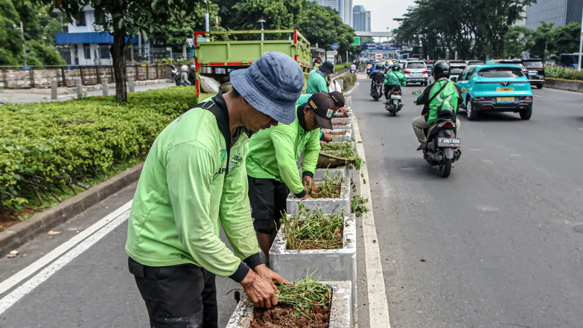 Anggota Sudin Pertamanan dan Hutan Kota melakukan penanaman ulang di box culvert jalur sepeda di Jalan Sudirman, Jakarta, Rabu (29/04/2026). (Hanung Hambara/Jawa Pos)