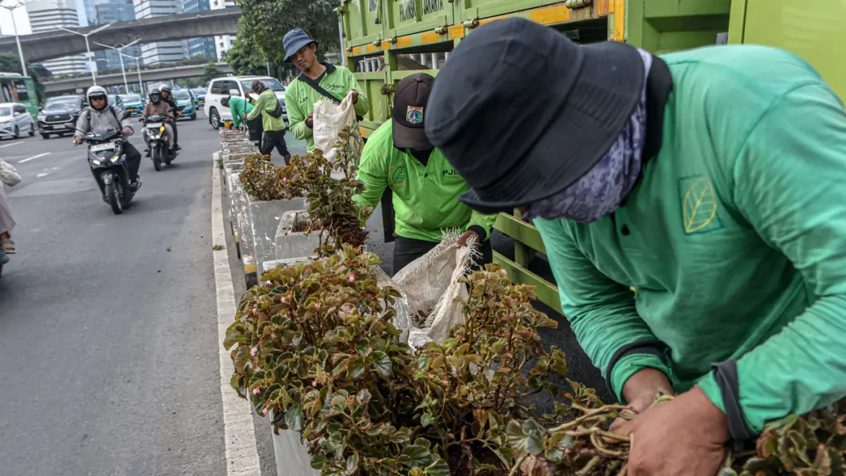 Anggota Sudin Pertamanan dan Hutan Kota melakukan penanaman ulang di box culvert jalur sepeda di Jalan Sudirman, Jakarta, Rabu (29/04/2026). (Hanung Hambara/Jawa Pos)