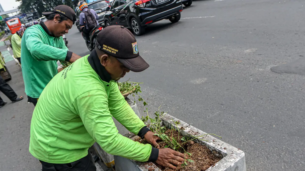 Anggota Sudin Pertamanan dan Hutan Kota melakukan penanaman ulang di box culvert jalur sepeda di Jalan Sudirman, Jakarta, Rabu (29/04/2026). (Hanung Hambara/Jawa Pos)