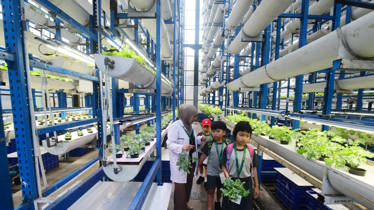 Sejumlah siswa Life Community School mempelajari sistem pertanian hidroponik di Ladang Farm, Lebak Bulus, Jakarta, Kamis (30/4/2026). (Dery Ridwansah/ JawaPos.com)