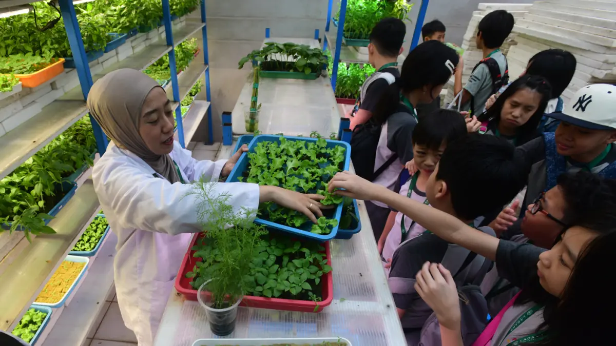 Pengenalan pertanian hidroponik Ke Pada Siswa - Image