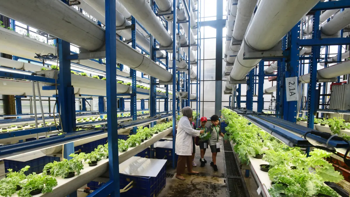 Sejumlah siswa Life Community School mempelajari sistem pertanian hidroponik di Ladang Farm, Lebak Bulus, Jakarta, Kamis (30/4/2026). (Dery Ridwansah/ JawaPos.com)