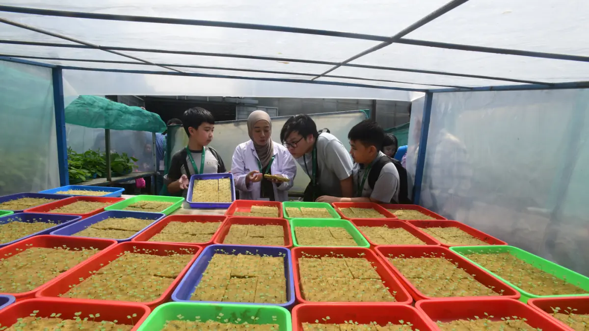 Sejumlah siswa Life Community School mempelajari sistem pertanian hidroponik di Ladang Farm, Lebak Bulus, Jakarta, Kamis (30/4/2026). (Dery Ridwansah/ JawaPos.com)