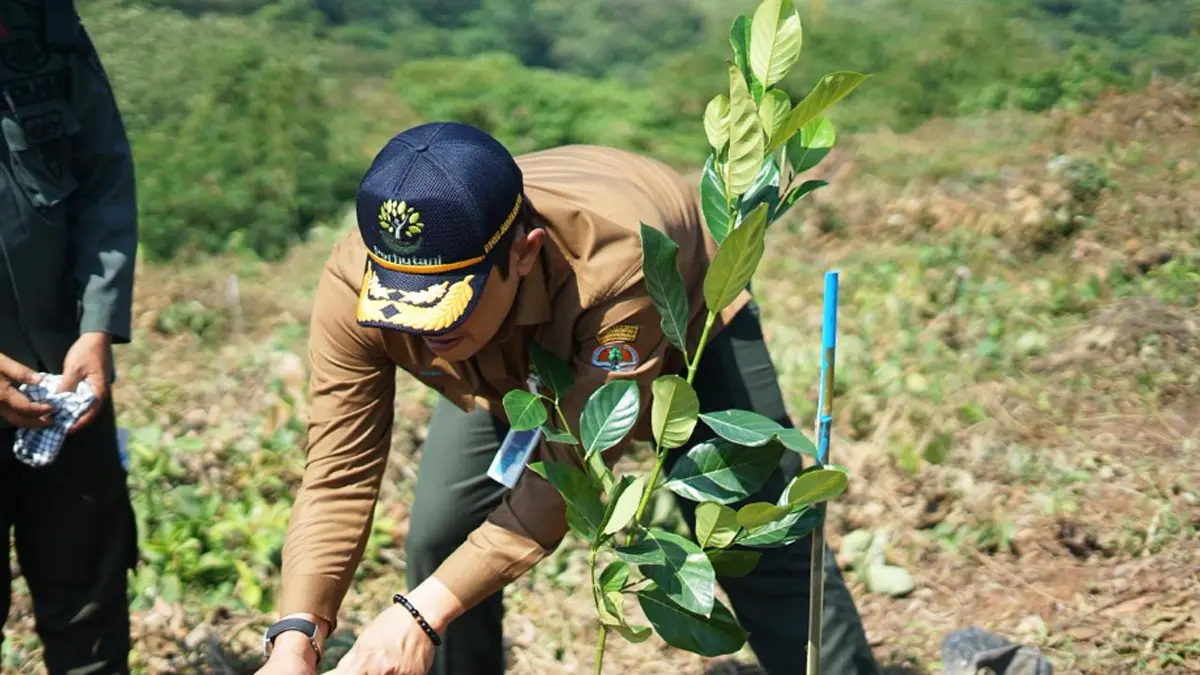 Perum Perhutani menegaskan langkah konkret dalam menjaga kelestarian hutan melalui berbagai program berkelanjutan yang terintegrasi dengan upaya mitigasi bencana dan pemberdayaan masyarakat sekitar hutan/(Istimewa). - Image