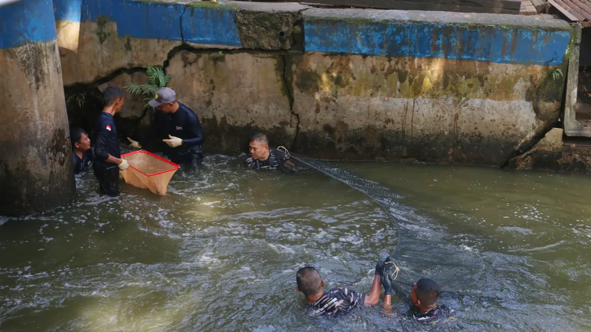 Basmi Ikan Sapu-Sapu di Setu Babakan - Image