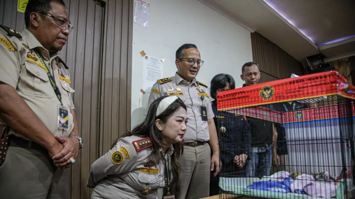 Kepala Barantin Banten Duma Sari Harianja (tengah) melihat satwa marmoset saat memimpin rilis penggagalan penyelundupan satwa eksotis dari Thailand di Kantor Karantina Hewan dan Tumbuhan Bandara Soekarni-Hatta, Tangerang, Sabtu (09/05/2026). (Salman Toyib