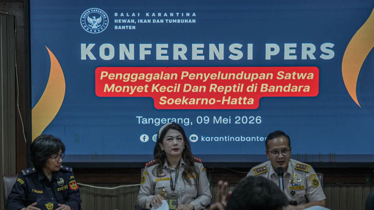 Kepala Barantin Banten Duma Sari Harianja (tengah) memimpin rilis penggagalan penyelundupan satwa eksotis dari Thailand di Kantor Karantina Hewan dan Tumbuhan Bandara Soekarni-Hatta, Tangerang, Sabtu (09/05/2026). (Salman Toyibi/Jawa Pos)