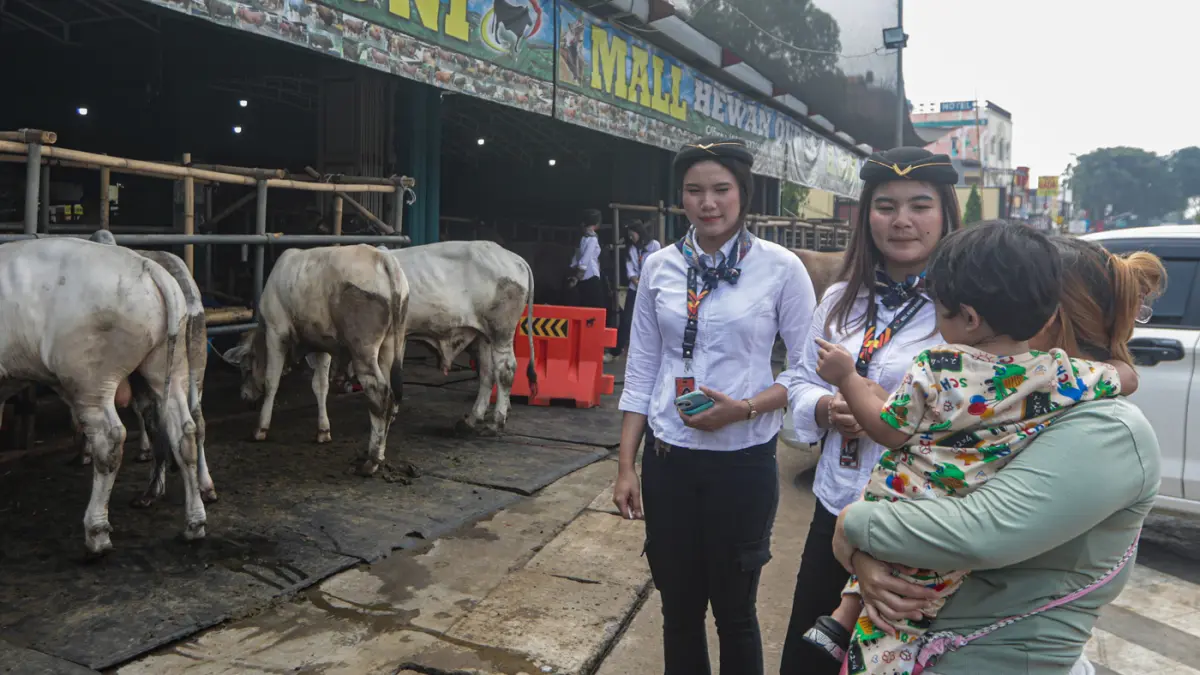 Sales Promotion Girl (SPG) berpakaian ala pramugari melayani calon pembeli sapi yang dijual di Mal Hewan Kurban H. Doni, Jalan Akses UI, Kelapa Dua, Depok, Jawa Barat, Jumat (15/5/2026). (Salman Toyibi/Jawa Pos