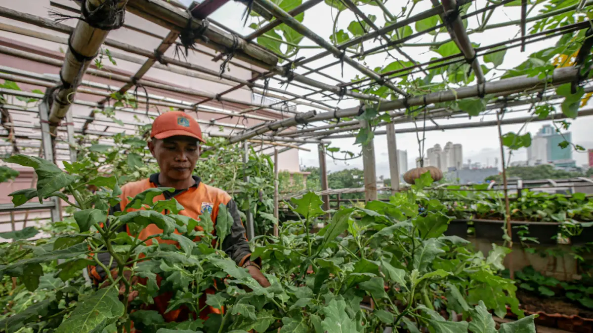 Petugas Penanganan Prasarana dan Sarana Umum (PPSU) Kelurahan Tangki bersama PKK dan warga setempat memanfaatkan area rooftop kantor kelurahan menjadi kawasan Urban Farming di area rooftop Kantor Keluran Tangki, Rabu (20/05/2026). (Hanung Hambara/Jawa Pos