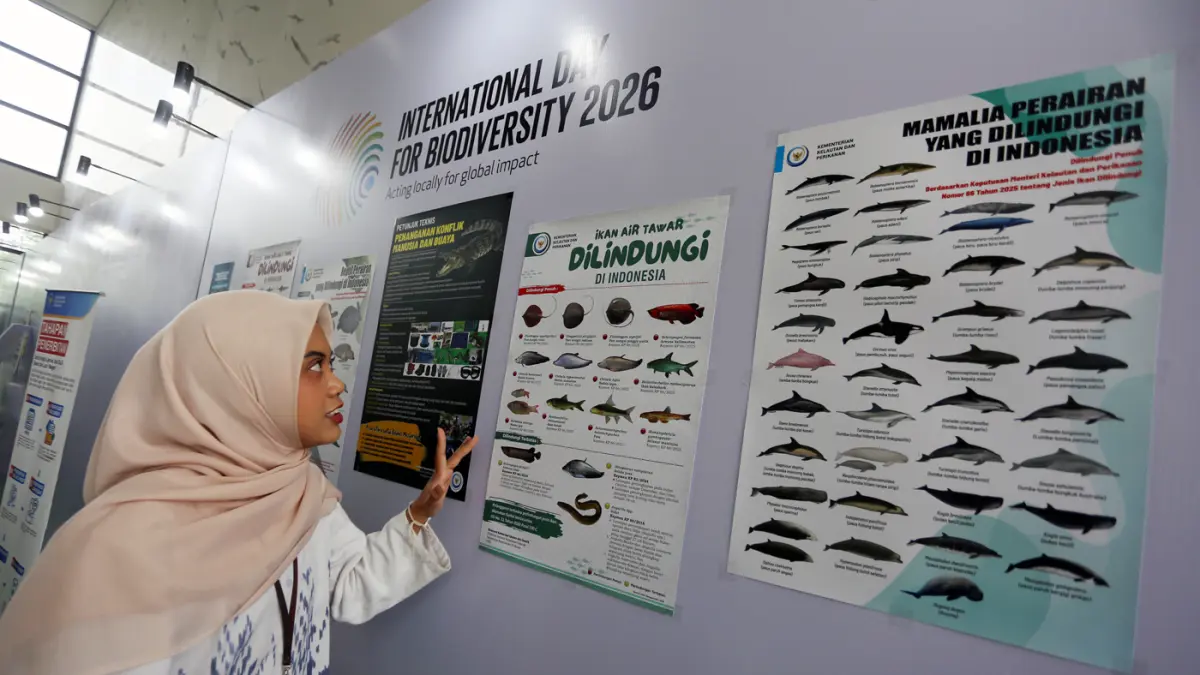 Pengunjung saat melihat pameran.