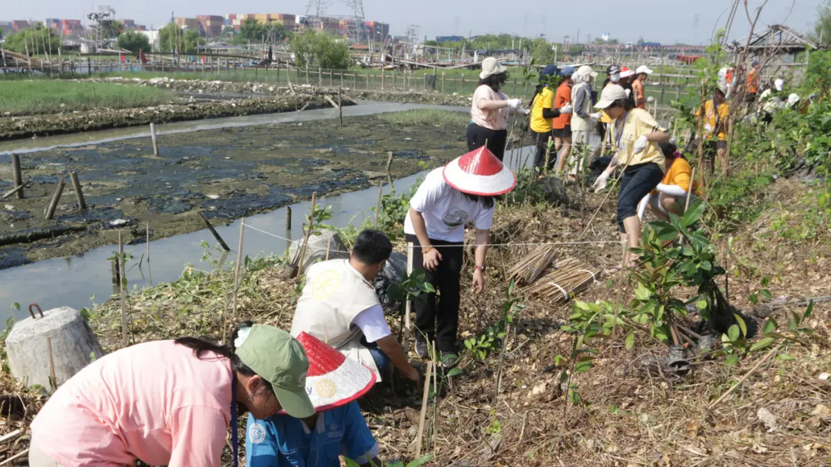 Mahasiswa bersama warga menanam 3.000 bibit mangrove di kawasan pesisir Tambakrejo, Kelurahan Tanjungmas, Semarang Utara, Minggu (24/5/2026). (Nur Chamim/Jawa Pos Radar Semarang)