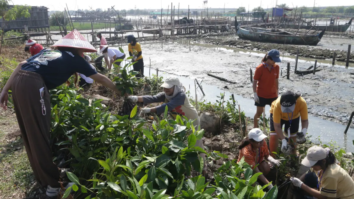 Mahasiswa bersama warga menanam 3.000 bibit mangrove di kawasan pesisir Tambakrejo, Kelurahan Tanjungmas, Semarang Utara, Minggu (24/5/2026). (Nur Chamim/Jawa Pos Radar Semarang)