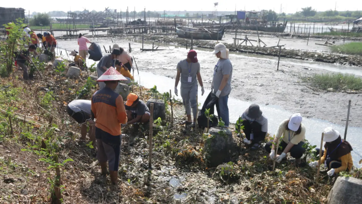 Mahasiswa bersama warga menanam 3.000 bibit mangrove di kawasan pesisir Tambakrejo, Kelurahan Tanjungmas, Semarang Utara, Minggu (24/5/2026). (Nur Chamim/Jawa Pos Radar Semarang)