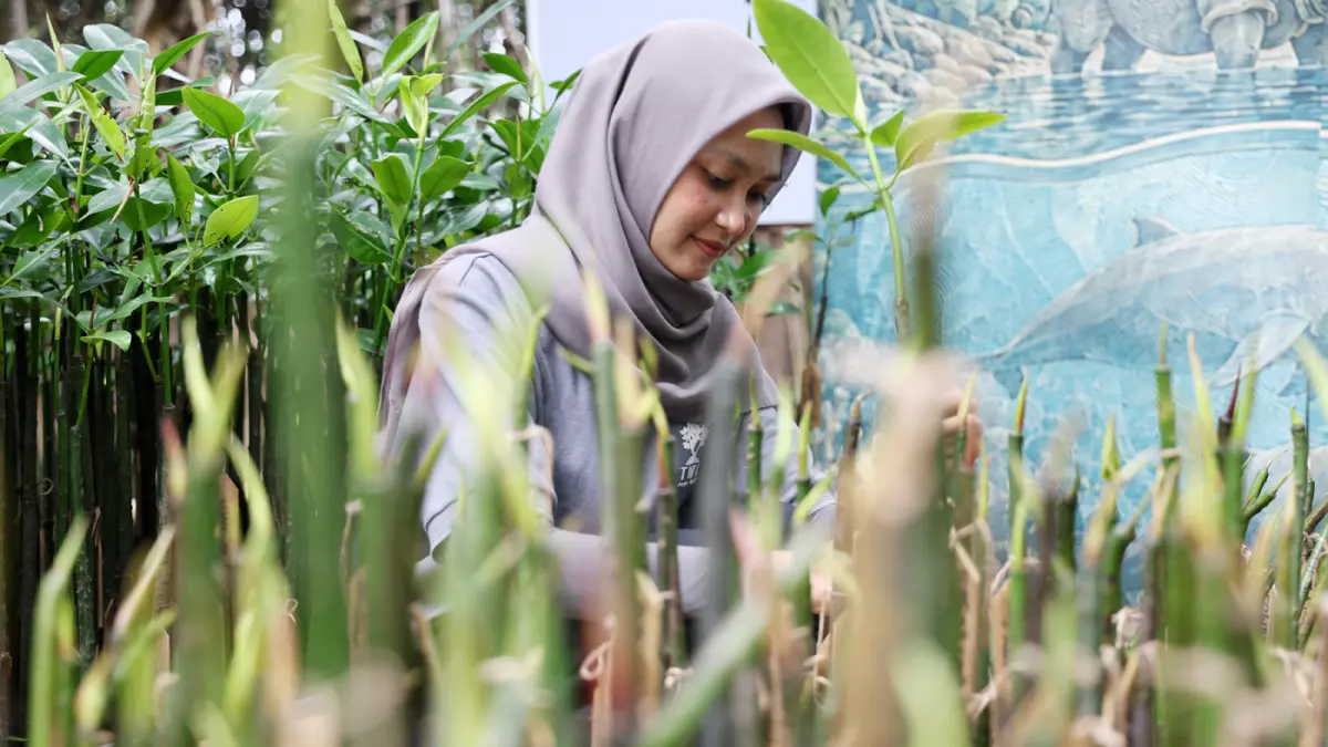 Siswa SMA dan SMK di Jakarta melakukan penanaman Mangrove di Taman Wisata Alam Angke Kapuk, Jakarta Utara, Sabtu (23/5/2026).
