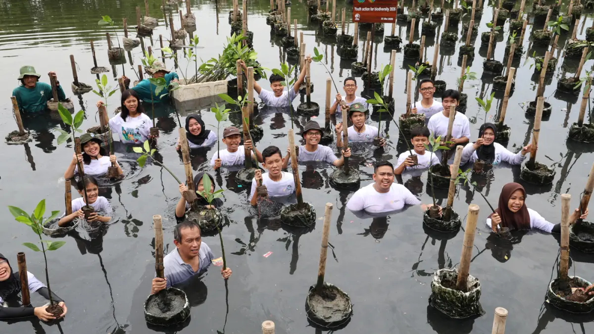 Ajak Generasi Muda Kenali Mangrove demi Masa Depan Bumi - Image