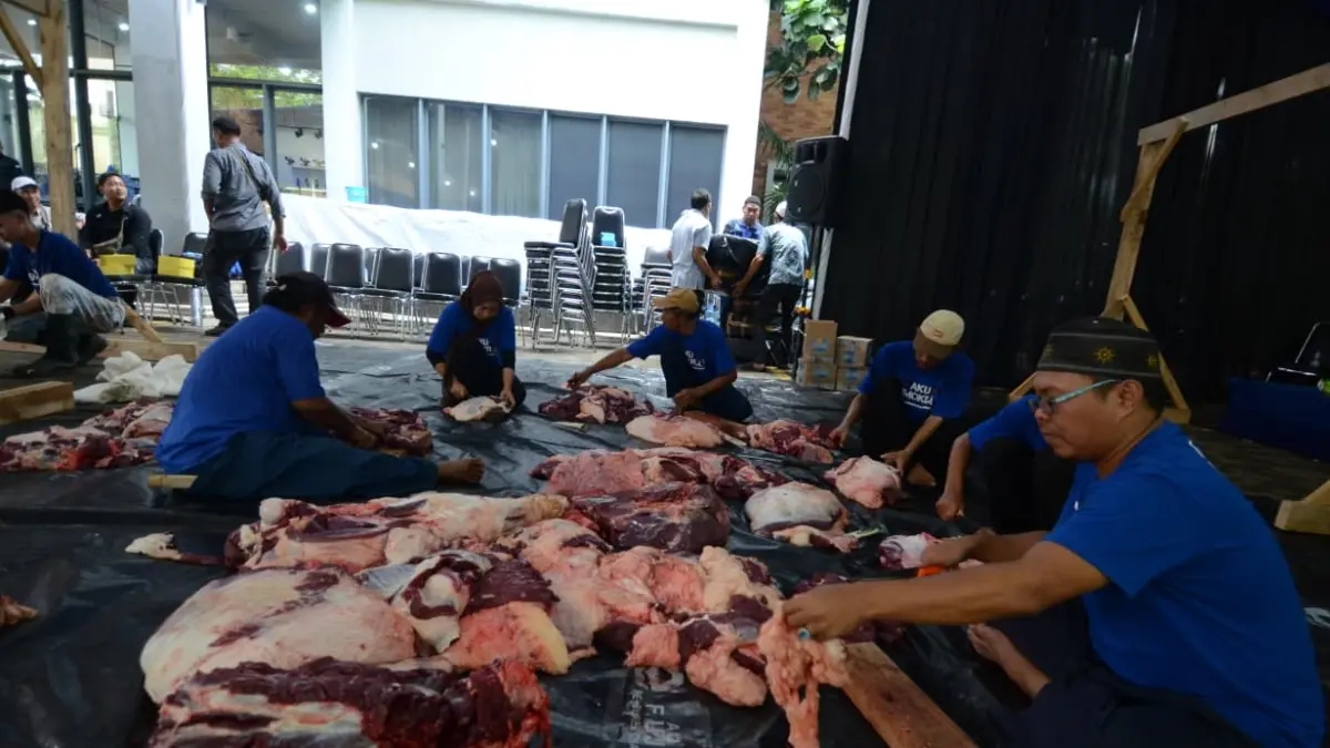 Dewan Pimpinan Pusat (DPP) Partai Demokrat akan menyembelih sebanyak 63 ekor sapi dalam peringatan Iduladha 1447 Hijriah. Sapi milik Ketua Umum, Agus Harimurti Yudhoyono (AHY) dan Ketua Majelis Tinggi Partai, Susilo Bambang Yudhoyono (SBY) turut disembeli
