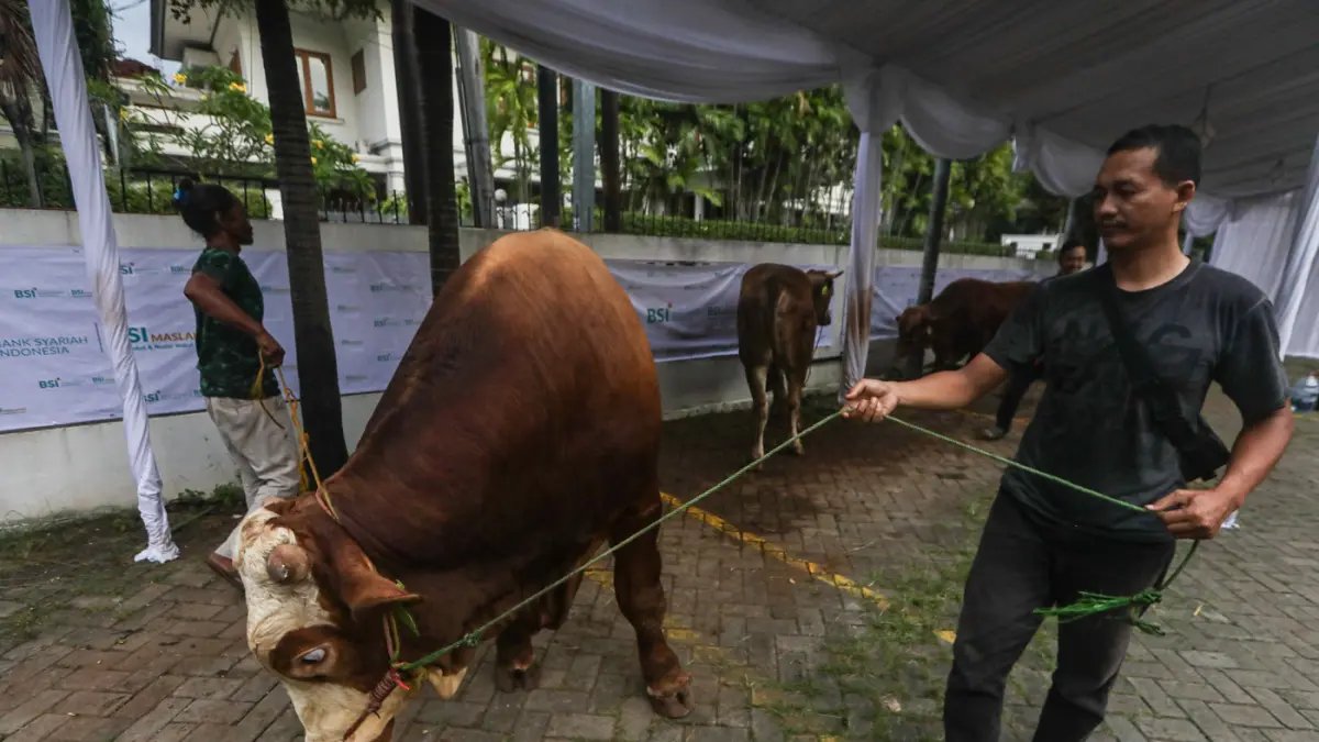 Direktur Utama BSI Anggoro Eko Cahyo (kanan) Direktur Eksekutif BSI Maslahat Sukoriyanto Saputro (kiri) saat acara penyerahan bantuan hewan kurban kepada perwakilan penerima manfaat di Kantor BSI Maslahat, Jakarta, Selasa (26/5/2026). (Salman Toyibi/Jawa