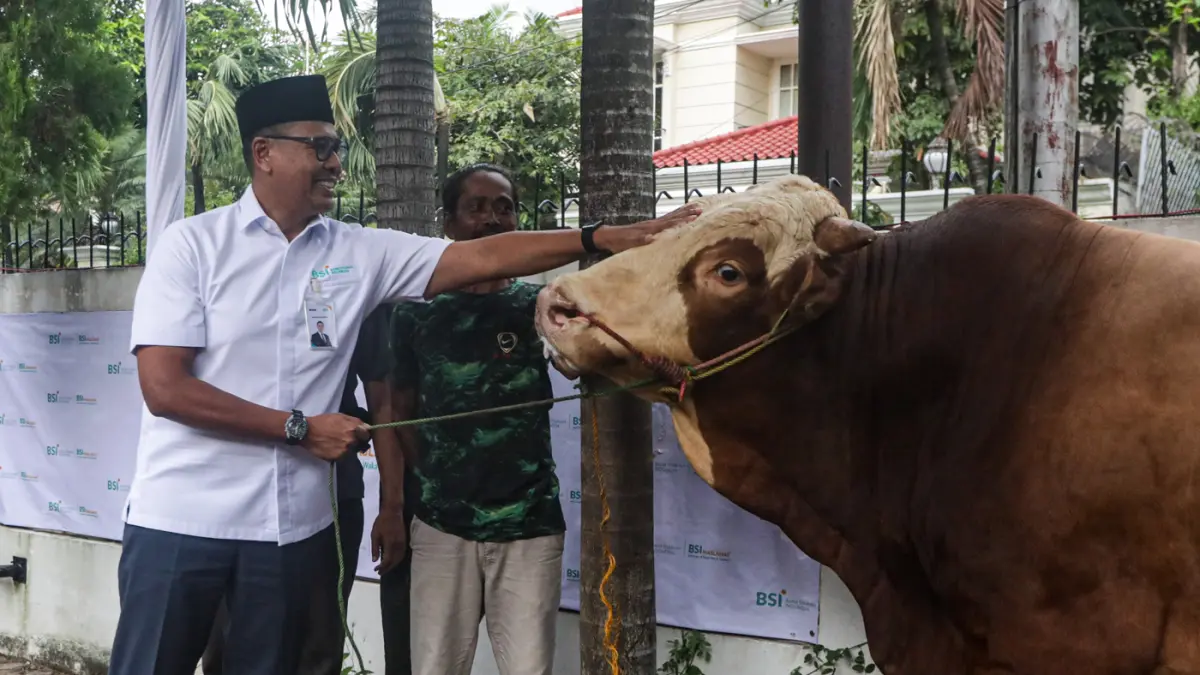 Direktur Utama BSI Anggoro Eko Cahyo meninjau hewan kurban yang akan di salurkan di Jakarta, Selasa (26/5/2026). (Salman Toyibi/Jawa Pos)