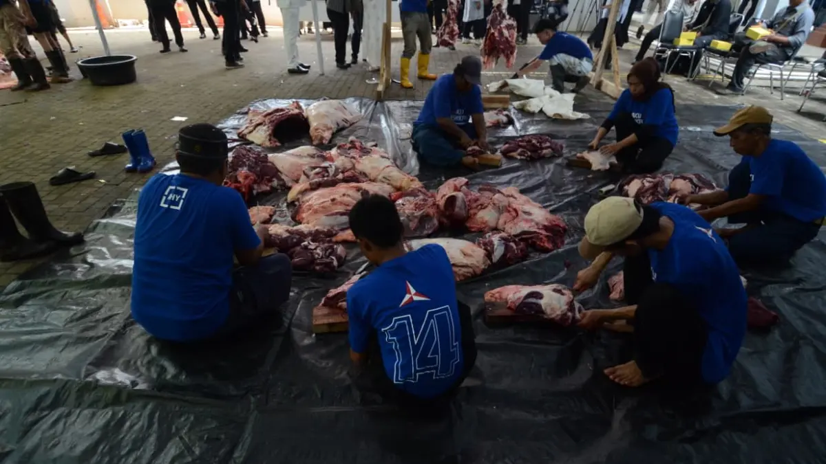 Dewan Pimpinan Pusat (DPP) Partai Demokrat akan menyembelih sebanyak 63 ekor sapi dalam peringatan Iduladha 1447 Hijriah. Sapi milik Ketua Umum, Agus Harimurti Yudhoyono (AHY) dan Ketua Majelis Tinggi Partai, Susilo Bambang Yudhoyono (SBY) turut disembeli