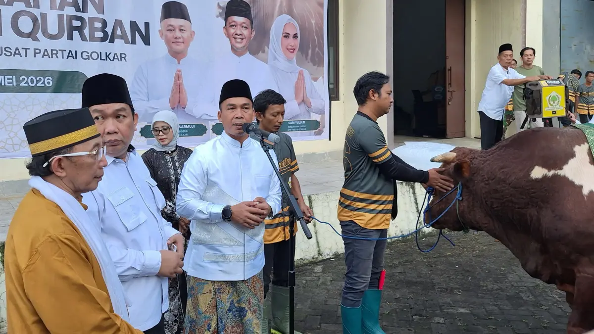 Idul Adha 2026: Golkar Berkurban 47 Sapi, Punya Bahlil Beratnya 1,3 Ton - Image