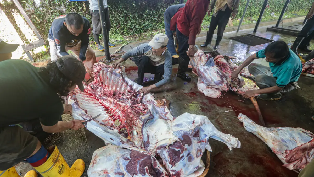 Pekerja memotong daging kurban di Yayasan Taman Yatim Piatu Tuna Netra (YATUNA) di Jakarta, Rabu (27/5/2026). (Salman Toyibi/Jawa Pos)