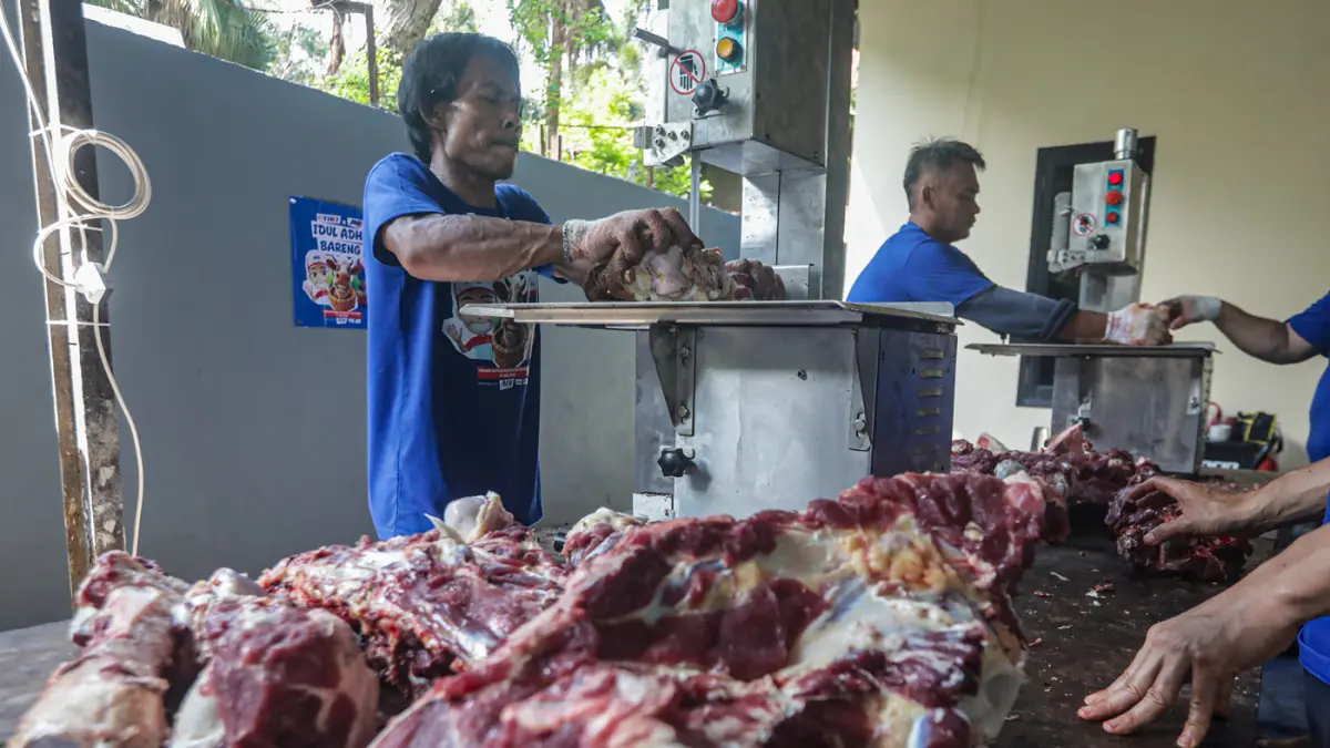 Pekerja memotong daging kurban di Yayasan Taman Yatim Piatu Tuna Netra (YATUNA) di Jakarta, Rabu (27/5/2026). (Salman Toyibi/Jawa Pos)