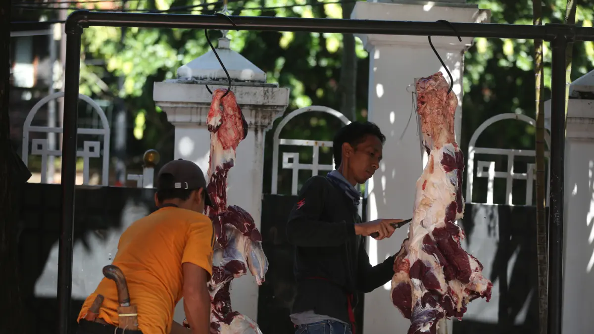 Petugas memotong daging sapi kurban di Masjid Agung Sunda Kelapa, Jakarta, Rabu (27/5/2026). (Dery Ridwansah/ JawaPos.com)