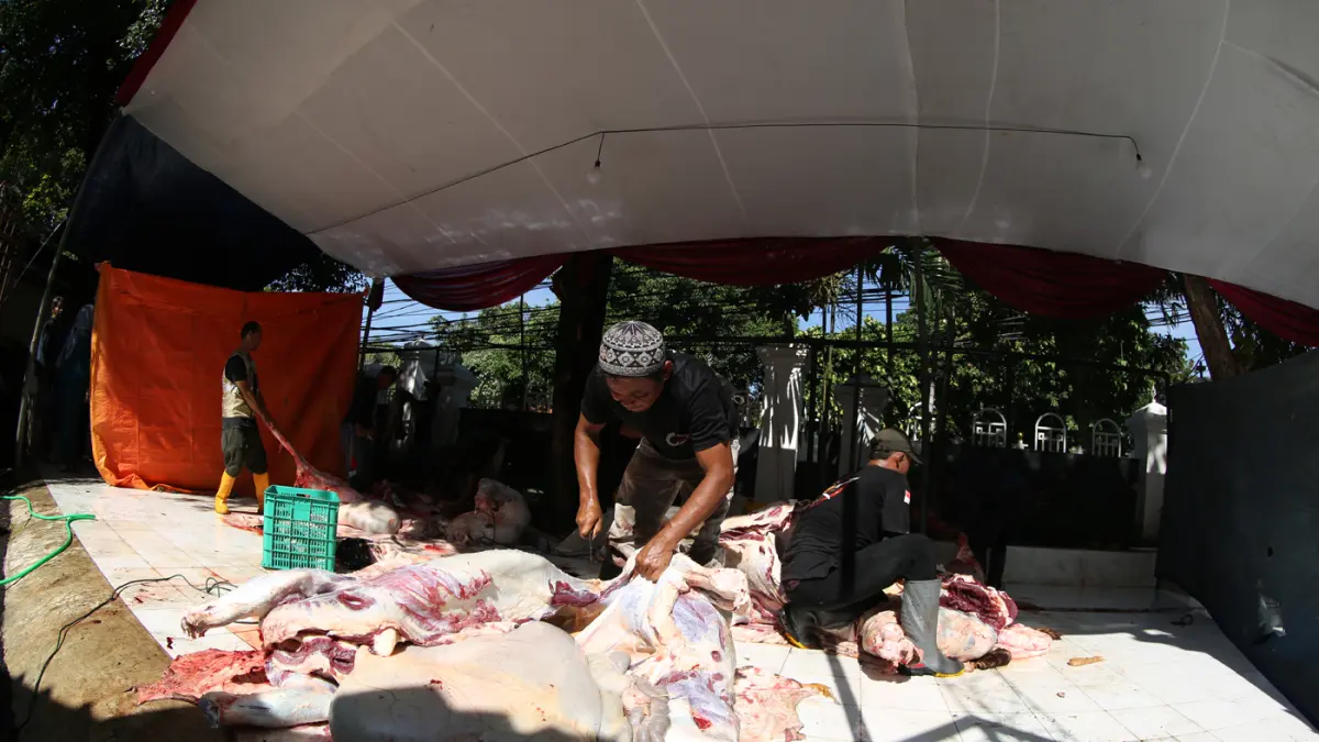 Petugas memotong sapi kurban di Masjid Agung Sunda Kelapa, Jakarta, Rabu (27/5/2026). (Dery Ridwansah/ JawaPos.com)