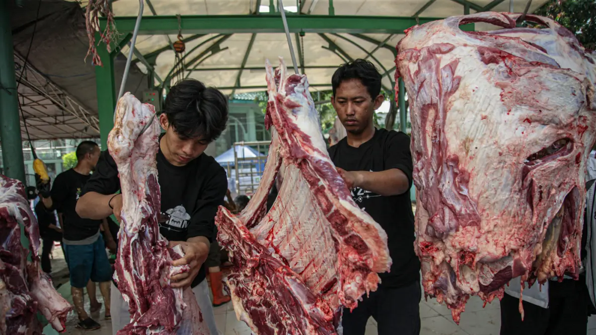 Sejumlah peanitia kurban menyembelih dan membagi daging sapi kurban di Masjid Al Azhom, Kota Tangerang, Rabu (27/05/2026). (Hanung Hambara/Jawa Pos)