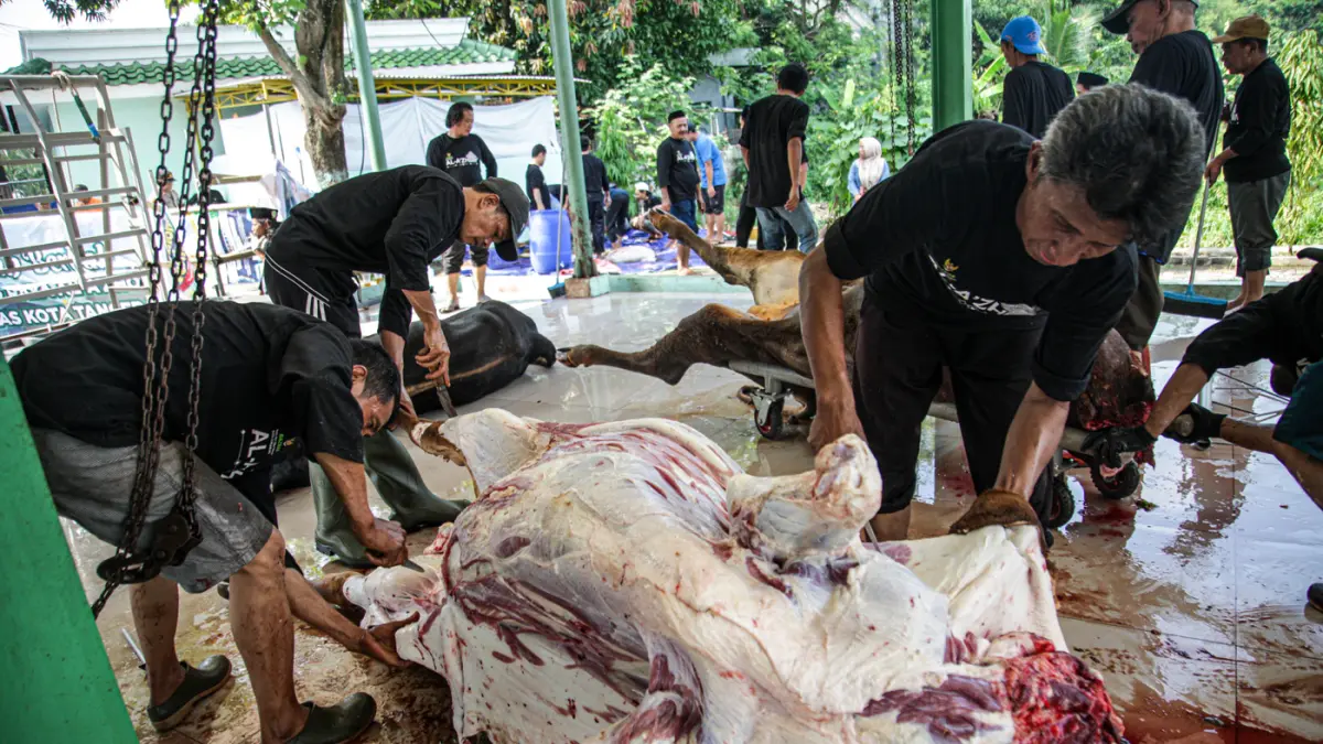 Sejumlah peanitia kurban menyembelih dan membagi daging sapi kurban di Masjid Al Azhom, Kota Tangerang, Rabu (27/05/2026). (Hanung Hambara/Jawa Pos)