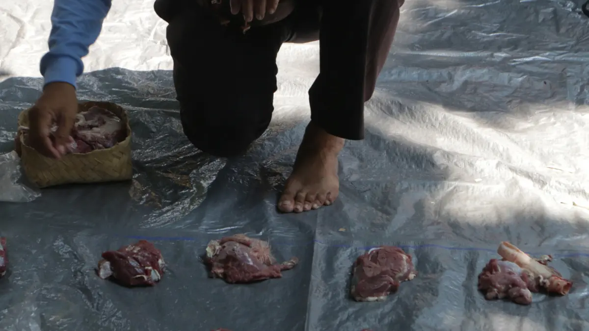 Petugas dan tim jagal menyelesaikan penyembelihan 15 sapi dan 28 kambing kurban di kompleks Masjid Agung Jawa Tengah,Kota Semarang Kamis (28/5/2026). (Nur Chamim/ JawaPos.com)